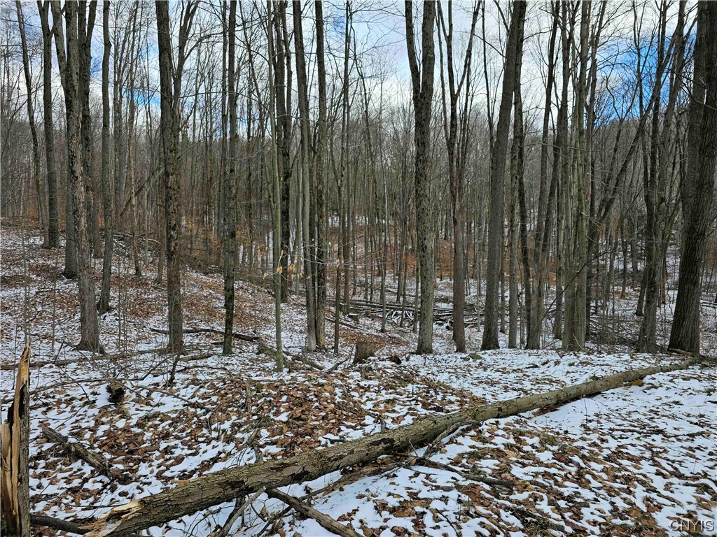 634 Ringwood Road Ithaca, NY 14850 - Photo 26 of 50