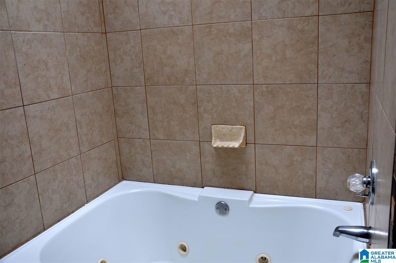 2109 Constellation Drive Alpine, AL 35014 - Photo 24 of 30