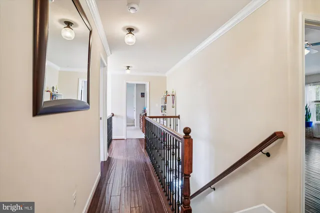 a view of hallway with a flower pot