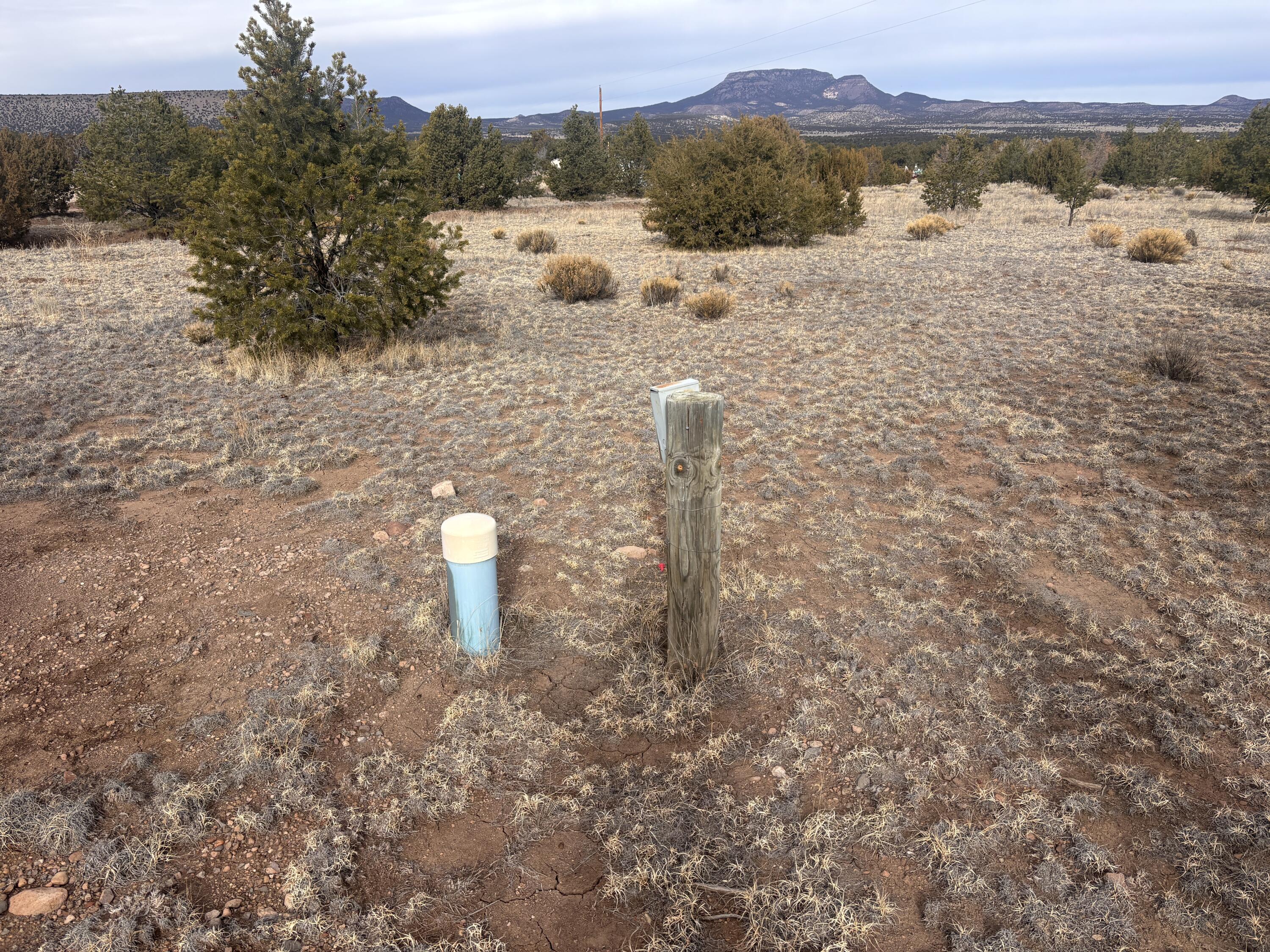 227 Tee Pee Trail Datil, NM 87821 - Photo 5 of 42 Gallery Image 5