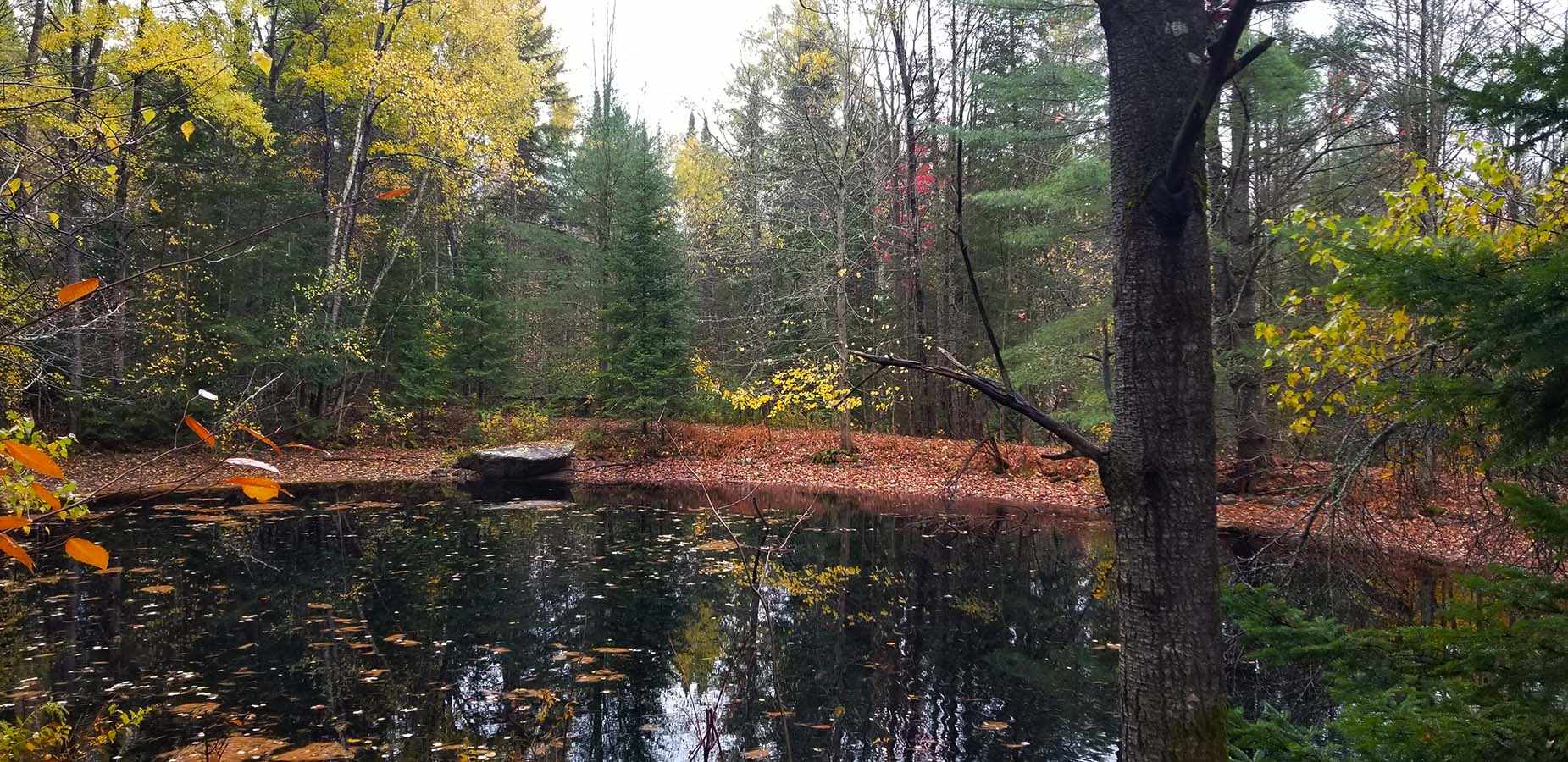 Lot 3 Town Hill Road Wolcott, VT 05680 - Photo 1 of 16
