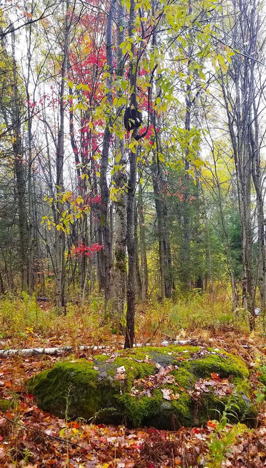 Lot 3 Town Hill Road Wolcott, VT 05680 - Photo 15 of 16