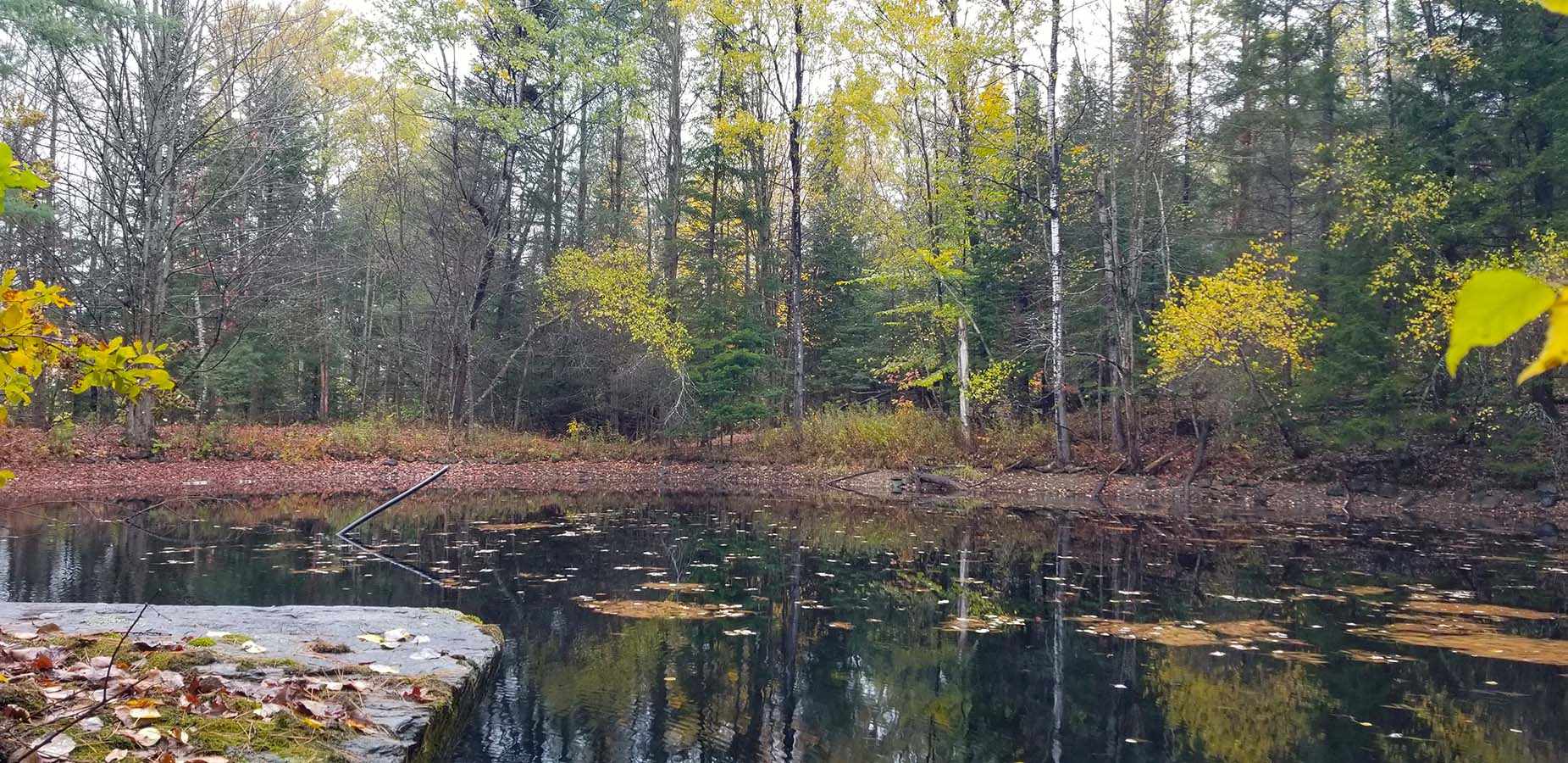 Lot 3 Town Hill Road Wolcott, VT 05680 - Photo 5 of 16