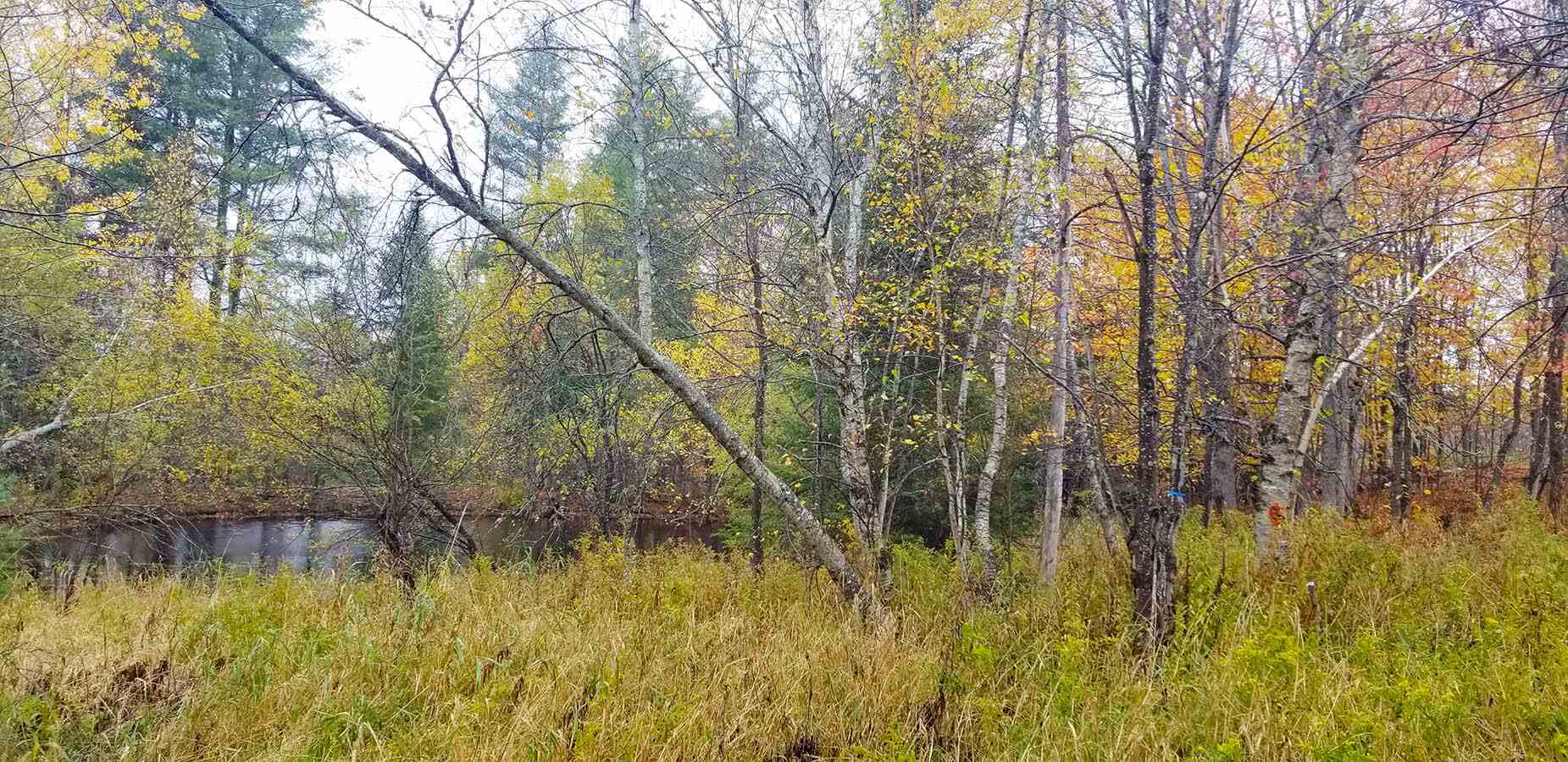 Lot 3 Town Hill Road Wolcott, VT 05680 - Photo 6 of 16
