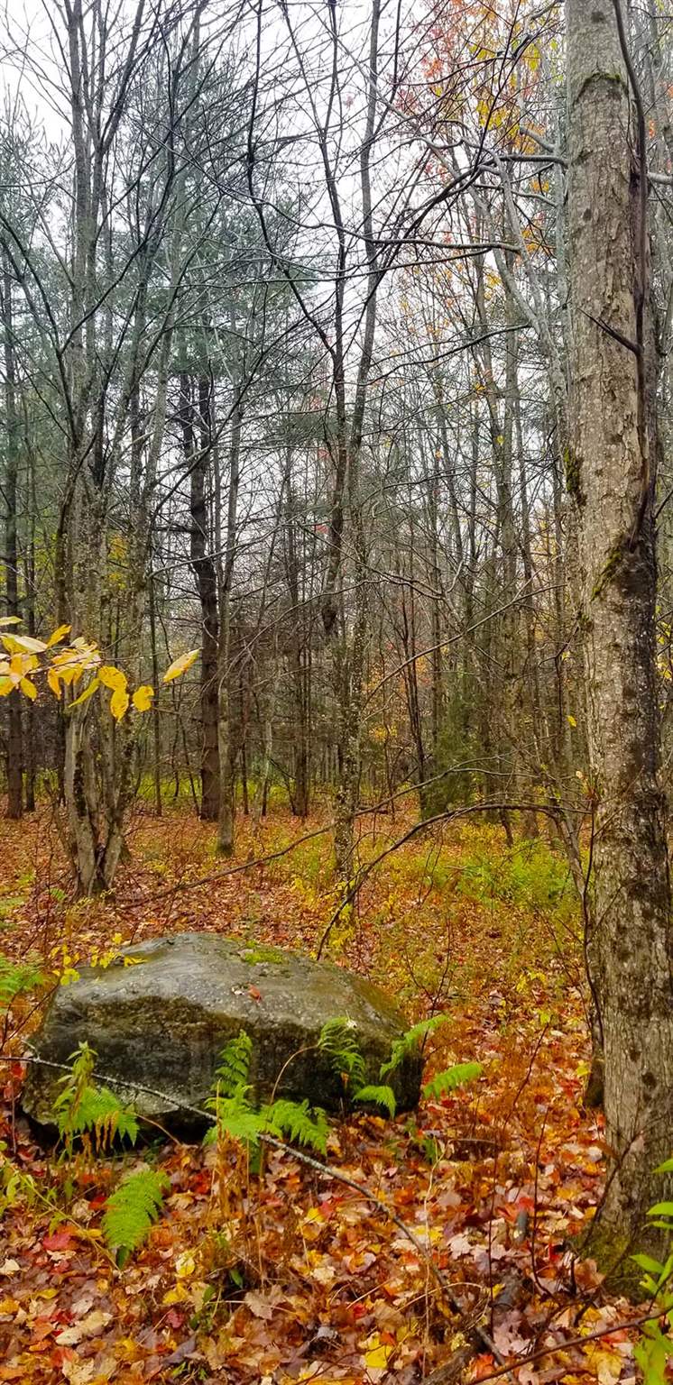 Lot 3 Town Hill Road Wolcott, VT 05680 - Photo 10 of 16