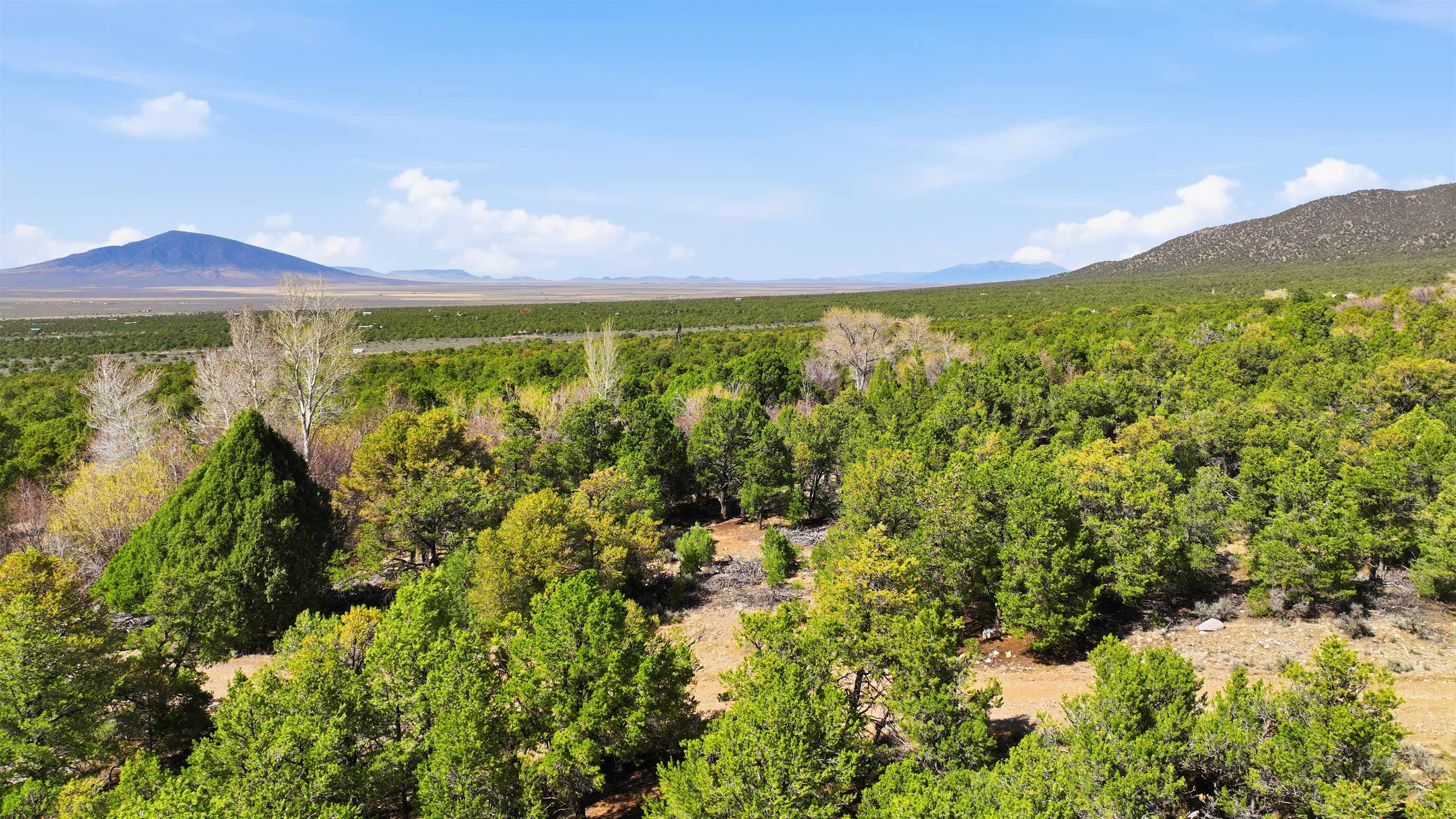 4 Plus Acres Vir Sylvia Road Questa, NM 87556 - Photo 17 of 28 Gallery Image 17