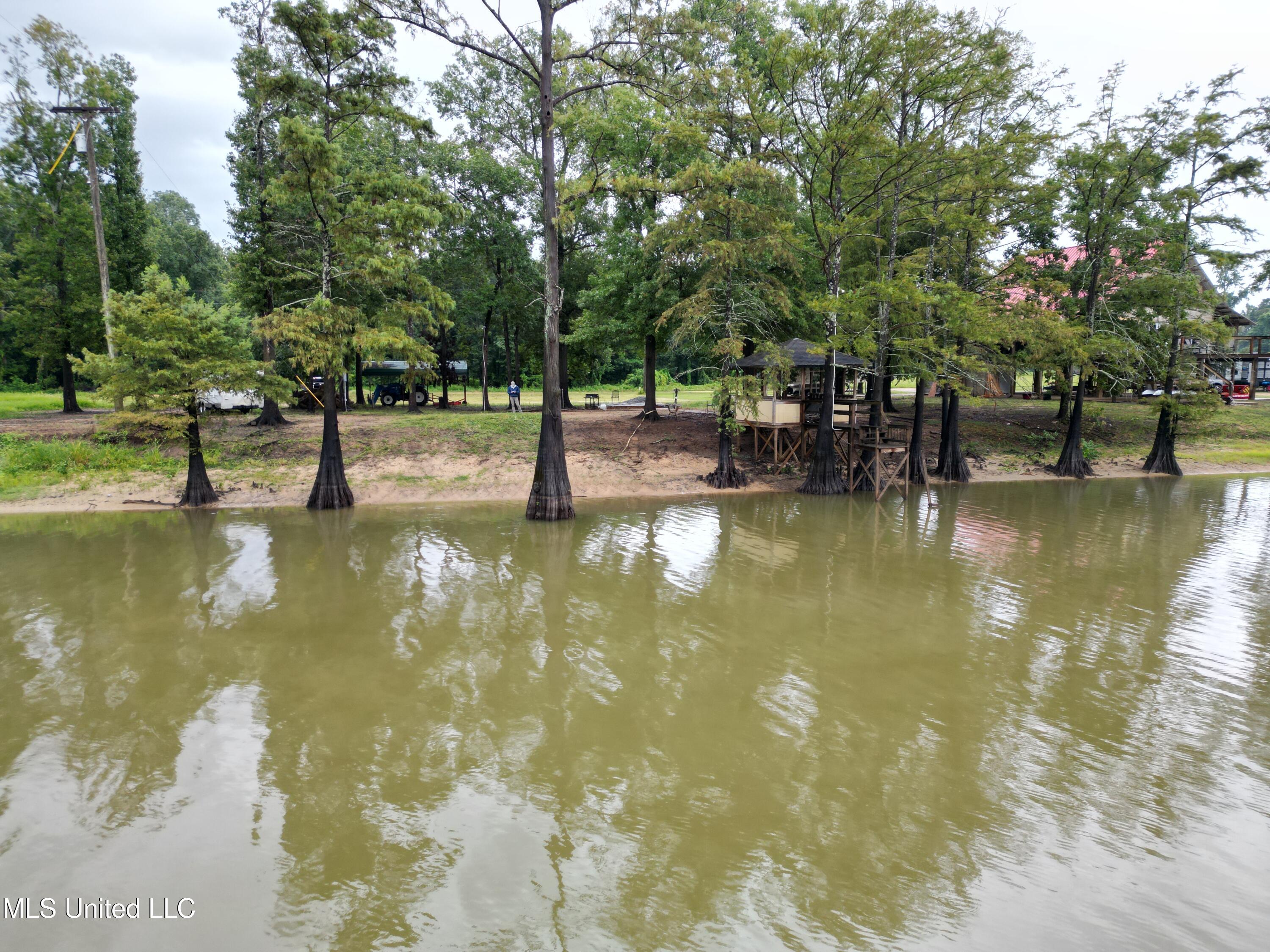1955 Shumaker Road Yazoo City, MS 39194 - Photo 6 of 6 IMG_2818 2