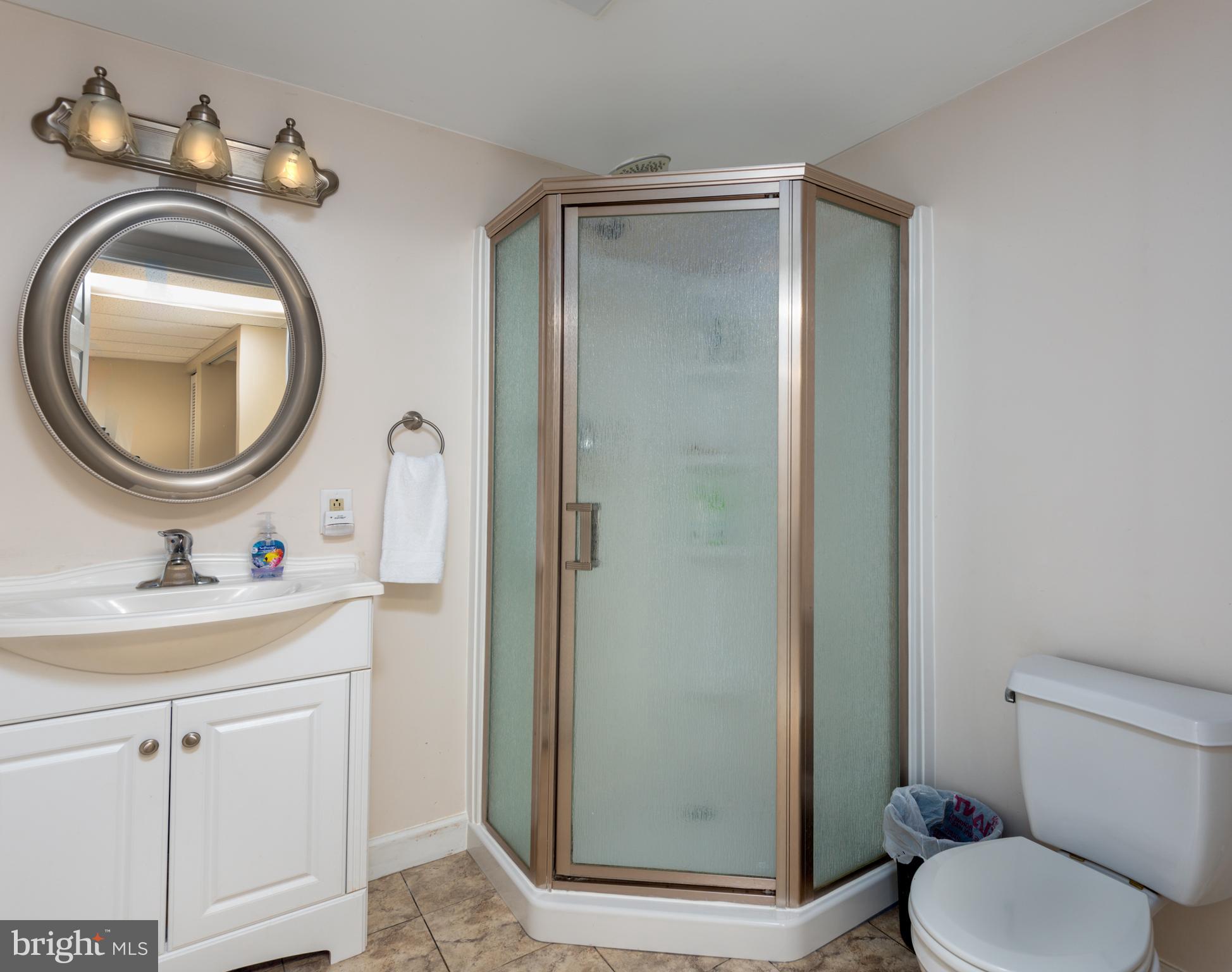 754 Fishburn Road Hershey, PA 17033 - Photo 16 of 25 Second Full bath in LL.
