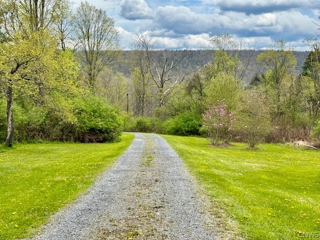 2190 Danby Road Danby, NY 13864 - Photo 10 of 43