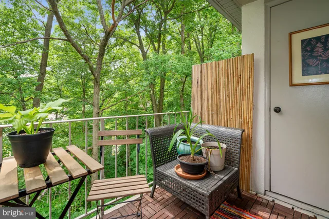 a view of a porch with furniture and a potted plant