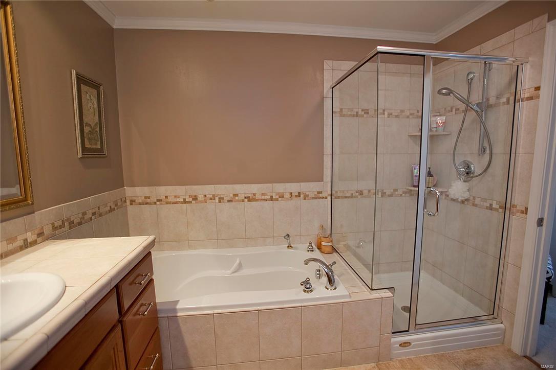 412 Arbor Spring Drive Ballwin, MO 63021 - Photo 20 of 33