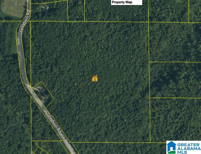 6485 Goodwin Road Pinson, AL 35126 - Photo 1 of 1 Gallery Image 1