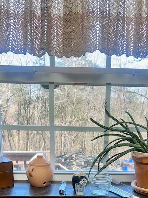 2809 Old Highway 58 Georgetown, TN 37336 - Photo 20 of 45 Kitchen Window View to Back Yard