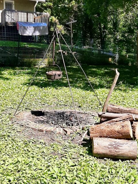 2809 Old Highway 58 Georgetown, TN 37336 - Photo 42 of 45 Firepit - Back Yard