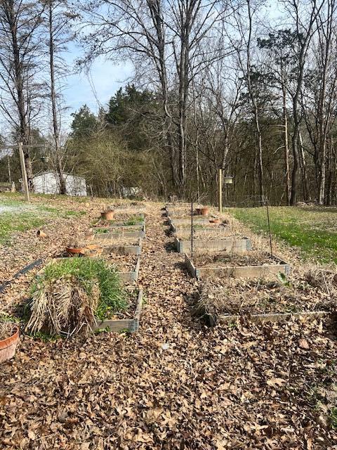 2809 Old Highway 58 Georgetown, TN 37336 - Photo 43 of 45 Gardens