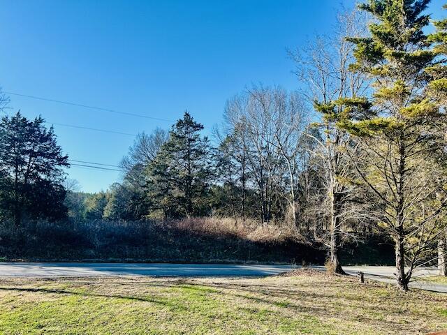 2809 Old Highway 58 Georgetown, TN 37336 - Photo 44 of 45 View Across Street from Front of House
