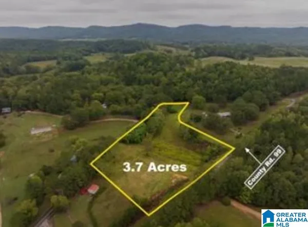$32,000 | 0 County Road 99, Gaylesville, AL 35973