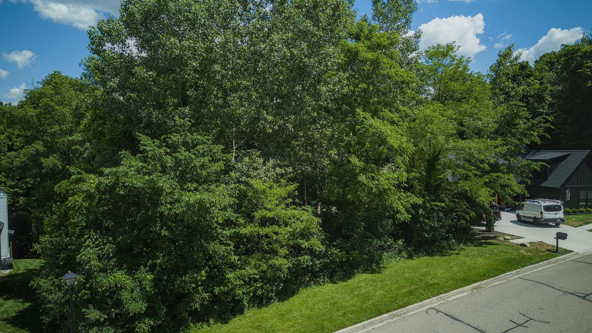 147 Quailrun Road Thornville, OH 43076 - Photo 10 of 46