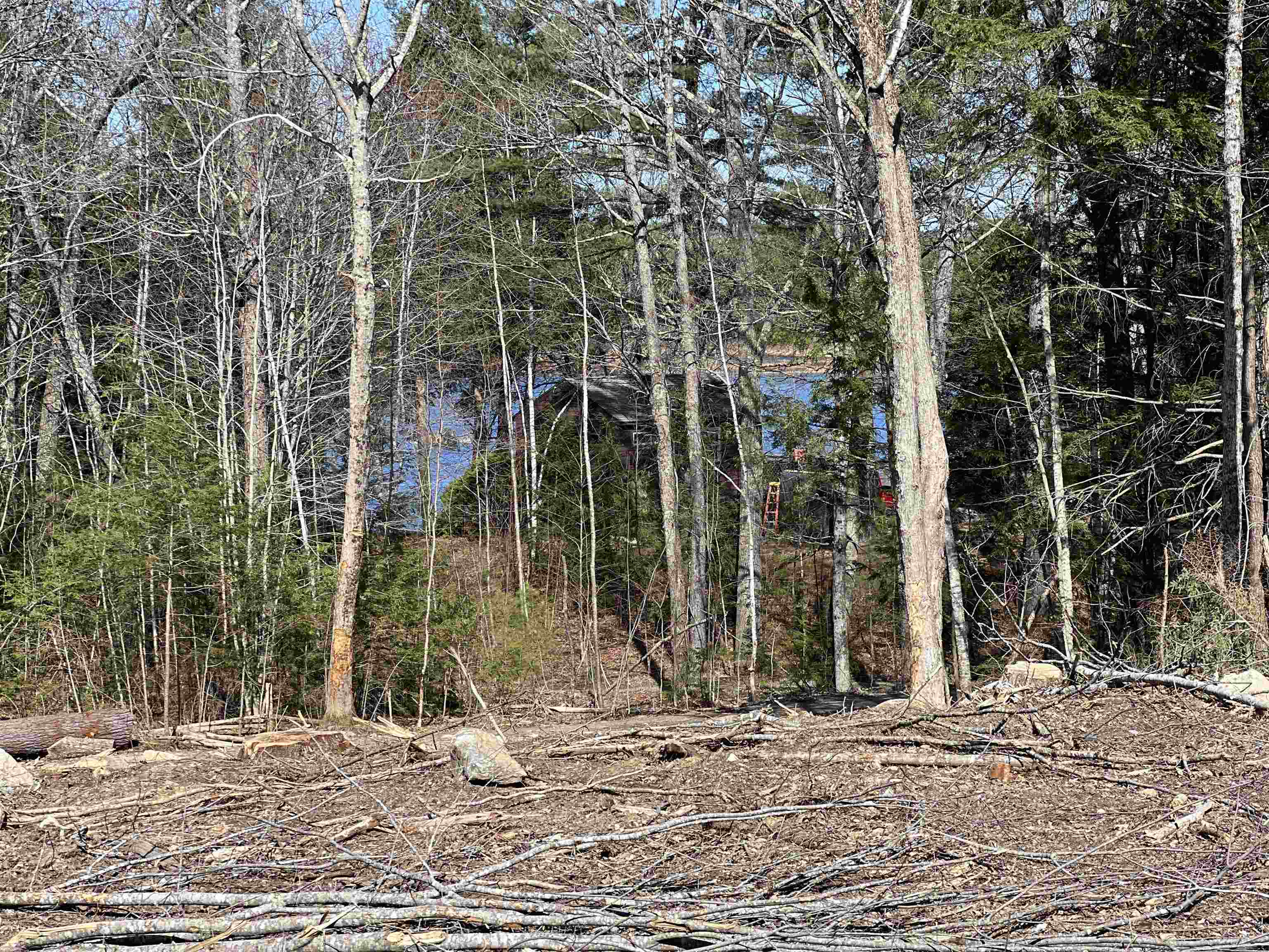Lot 14 Northeast Pond Road Milton, NH 03851 - Photo 7 of 12