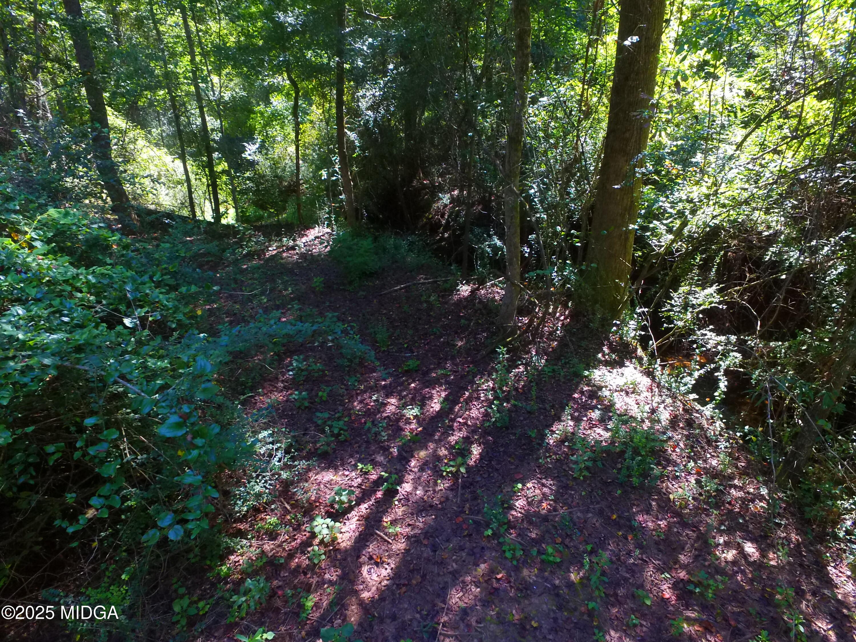 355 Dumas Road Forsyth, GA 31029 - Photo 45 of 53 a view of a forest