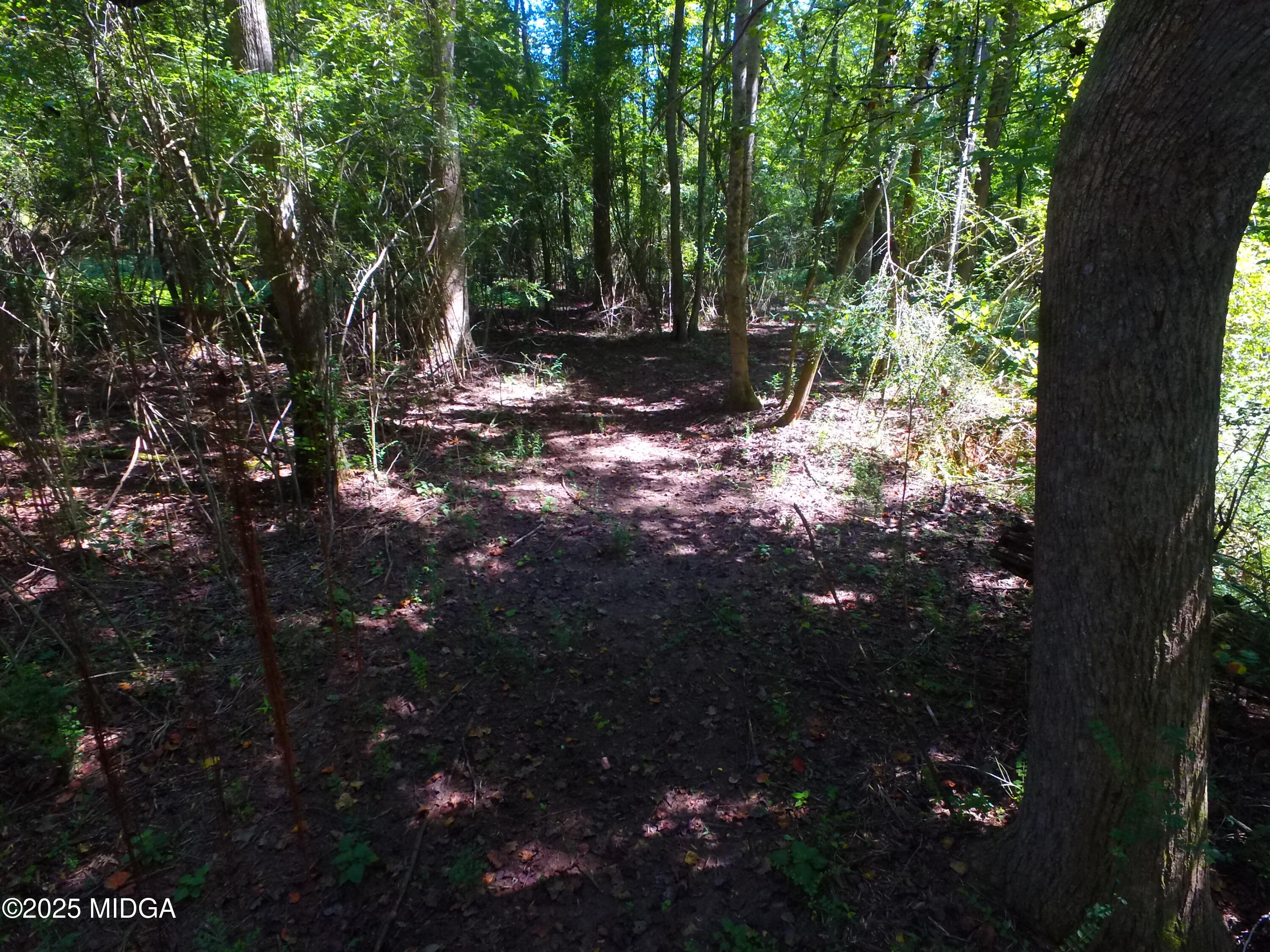 355 Dumas Road Forsyth, GA 31029 - Photo 46 of 53 a view of tree