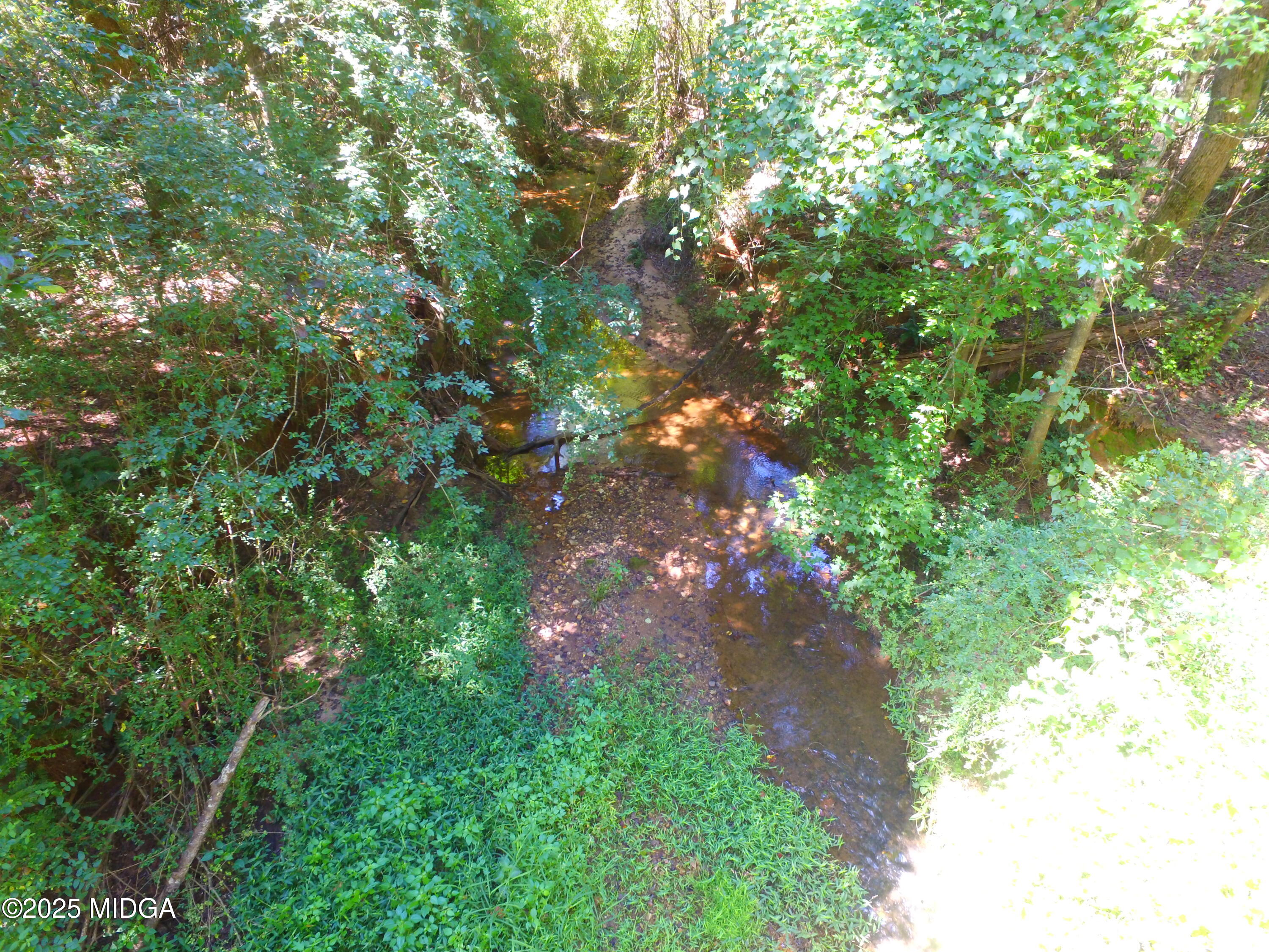 355 Dumas Road Forsyth, GA 31029 - Photo 47 of 53 DJI_0341