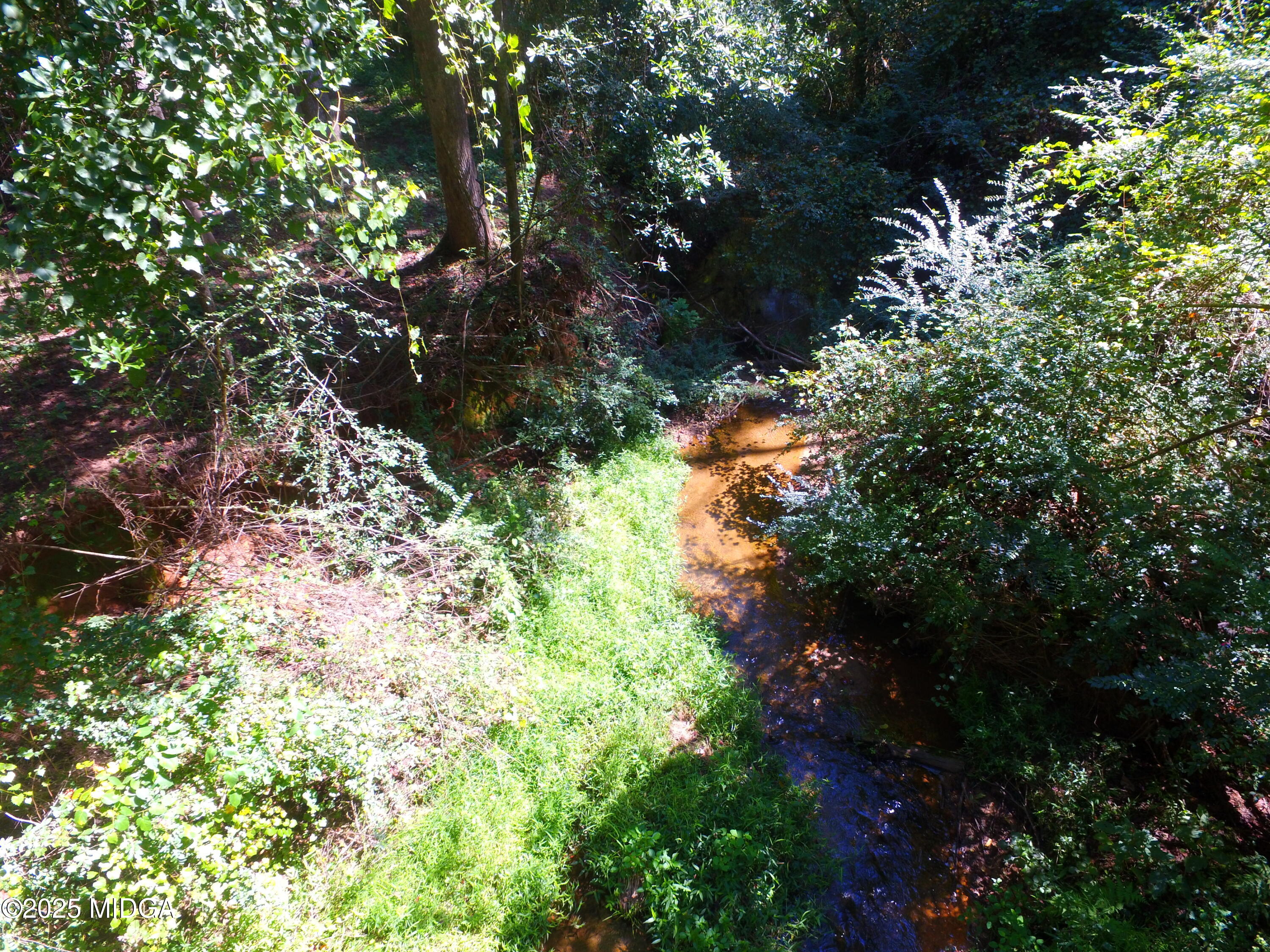 355 Dumas Road Forsyth, GA 31029 - Photo 48 of 53 a backyard of a house