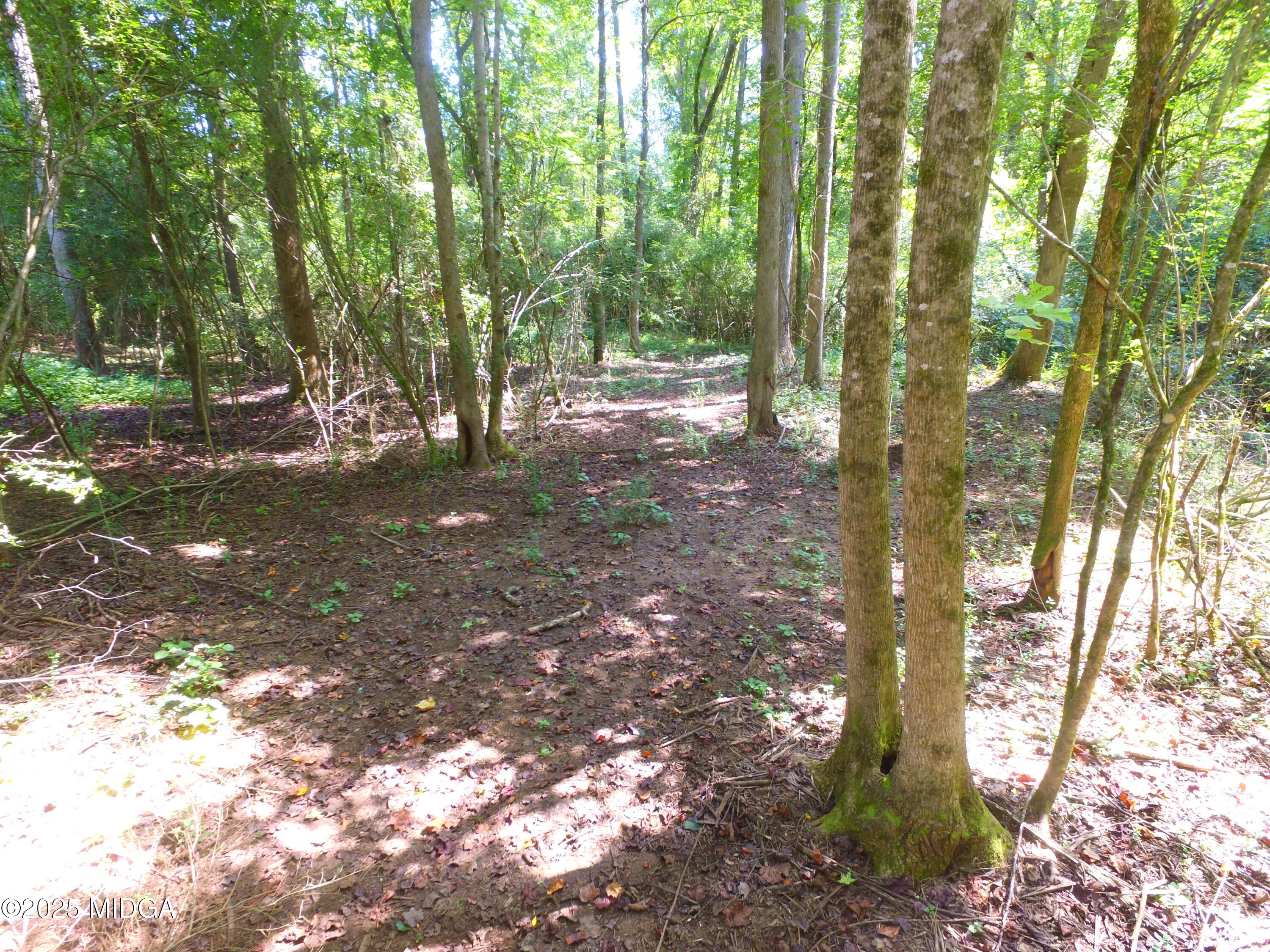 355 Dumas Road Forsyth, GA 31029 - Photo 49 of 53 a view of outdoor space and trees