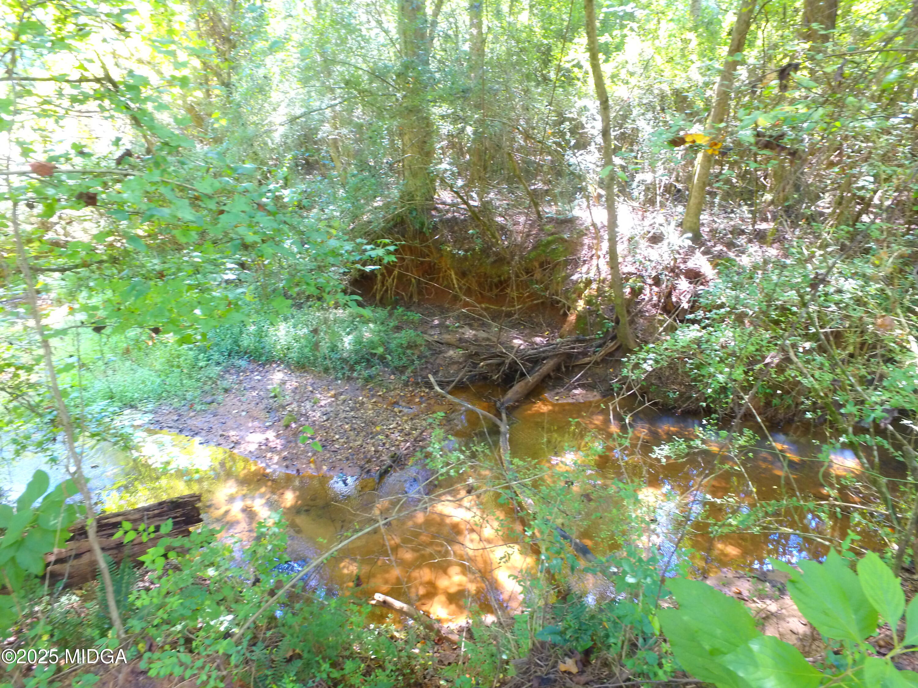 355 Dumas Road Forsyth, GA 31029 - Photo 50 of 53 a backyard of a house
