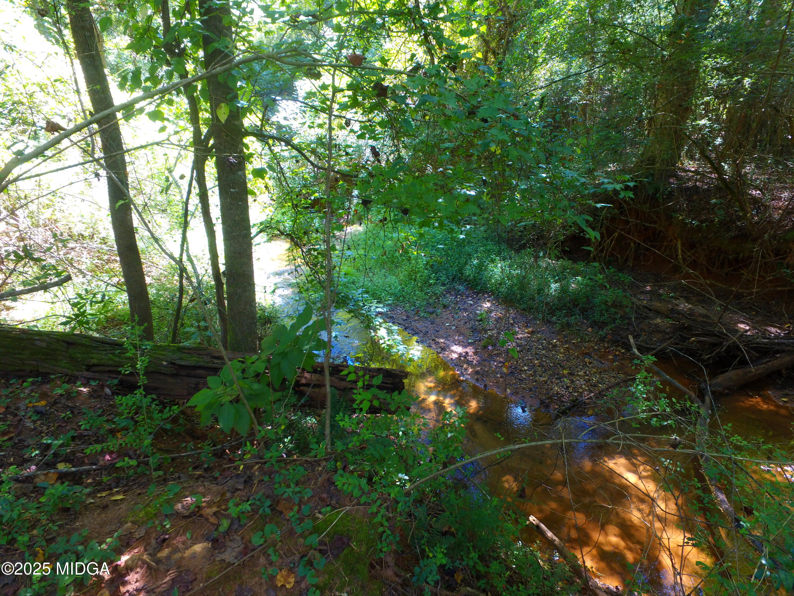 355 Dumas Road Forsyth, GA 31029 - Photo 51 of 53 a view of forest