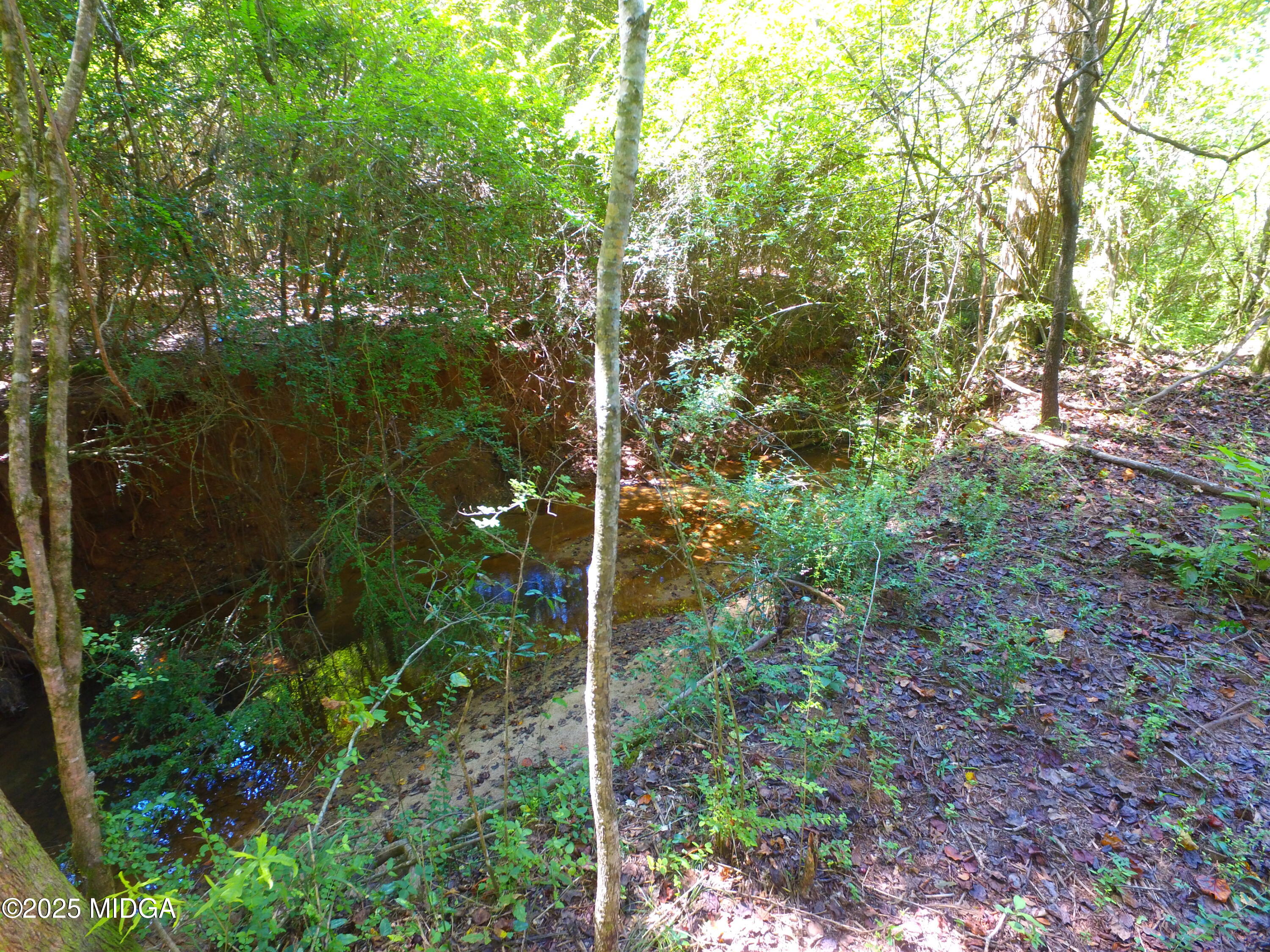 355 Dumas Road Forsyth, GA 31029 - Photo 52 of 53 a view of a house with a yard
