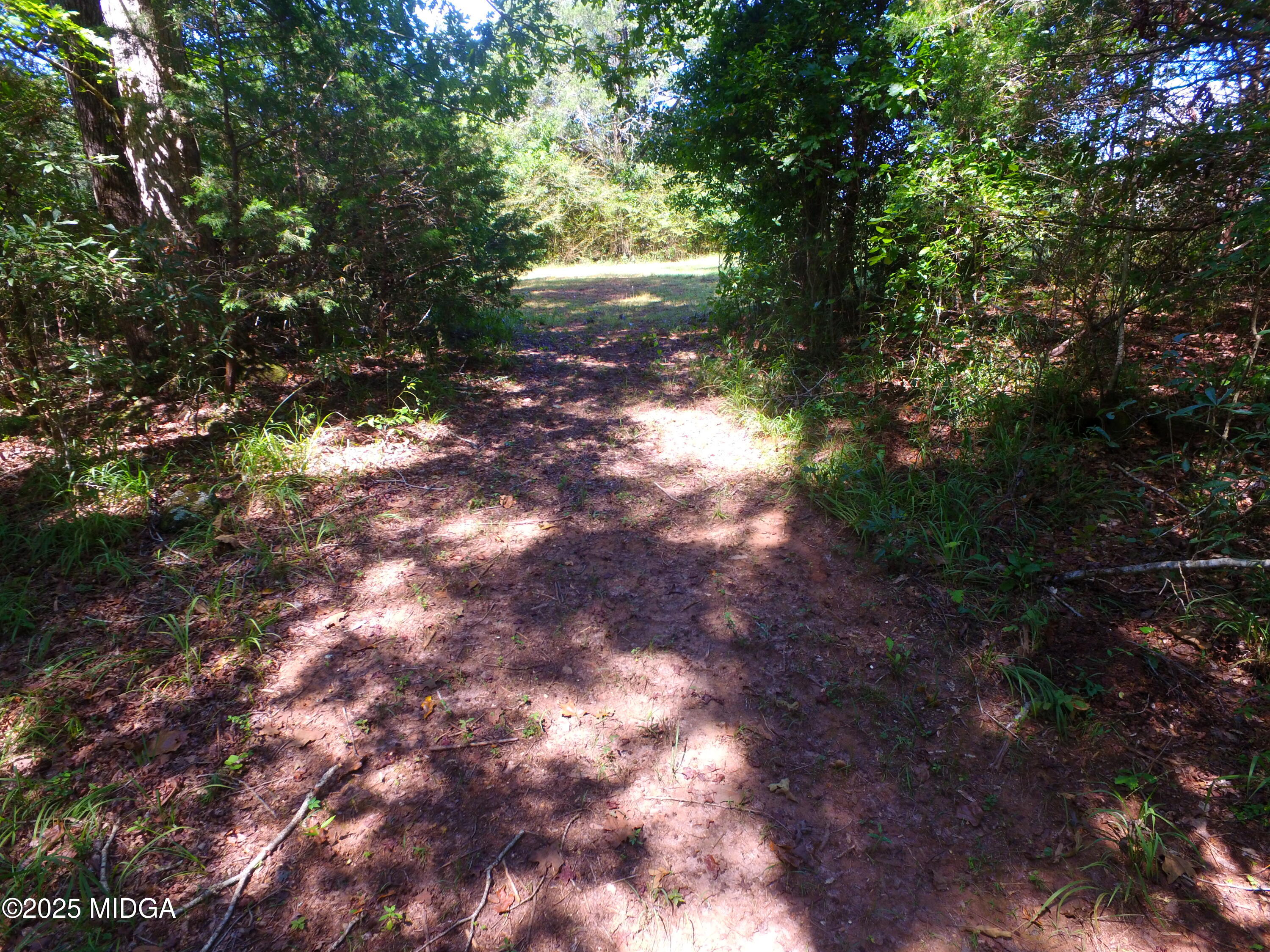 355 Dumas Road Forsyth, GA 31029 - Photo 53 of 53 a view of a yard with a tree