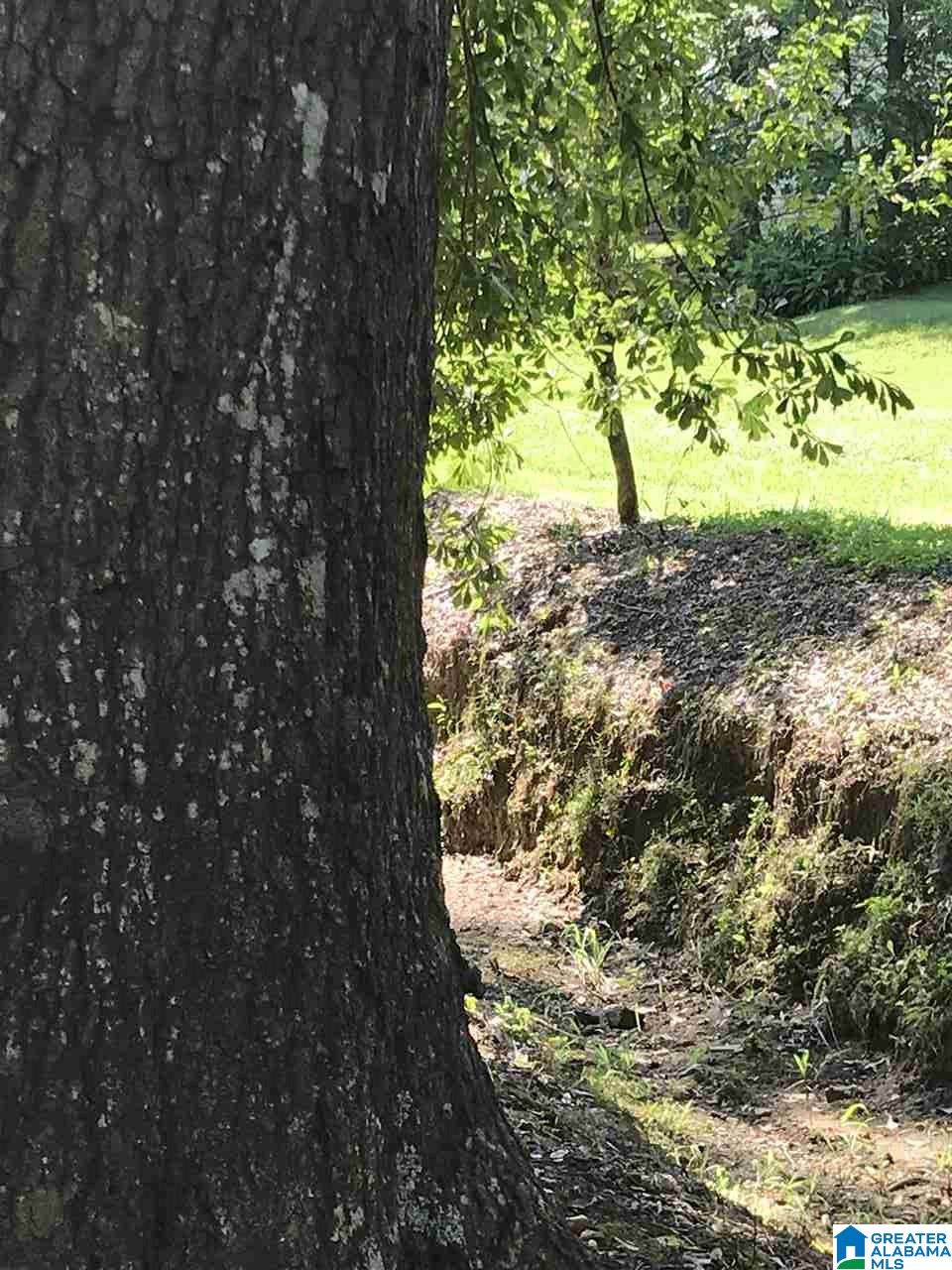 70 Raywood Road Woodstock, AL 35188 - Photo 14 of 16