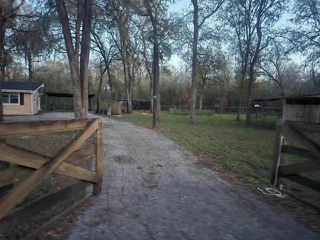 a view of backyard with green space