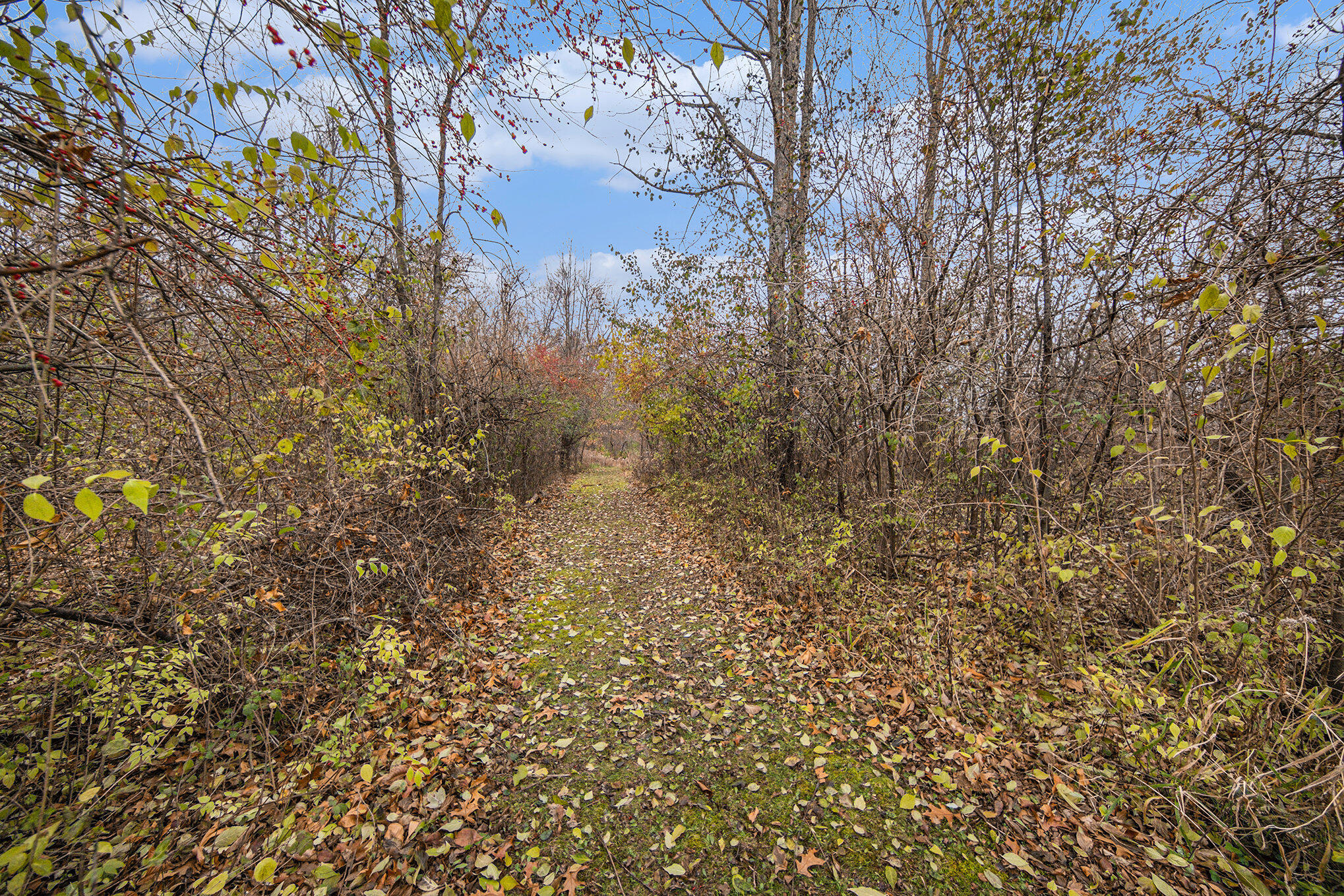 9300 Rountree Road Horton, MI 49246 - Photo 28 of 28 028_sbp_65
