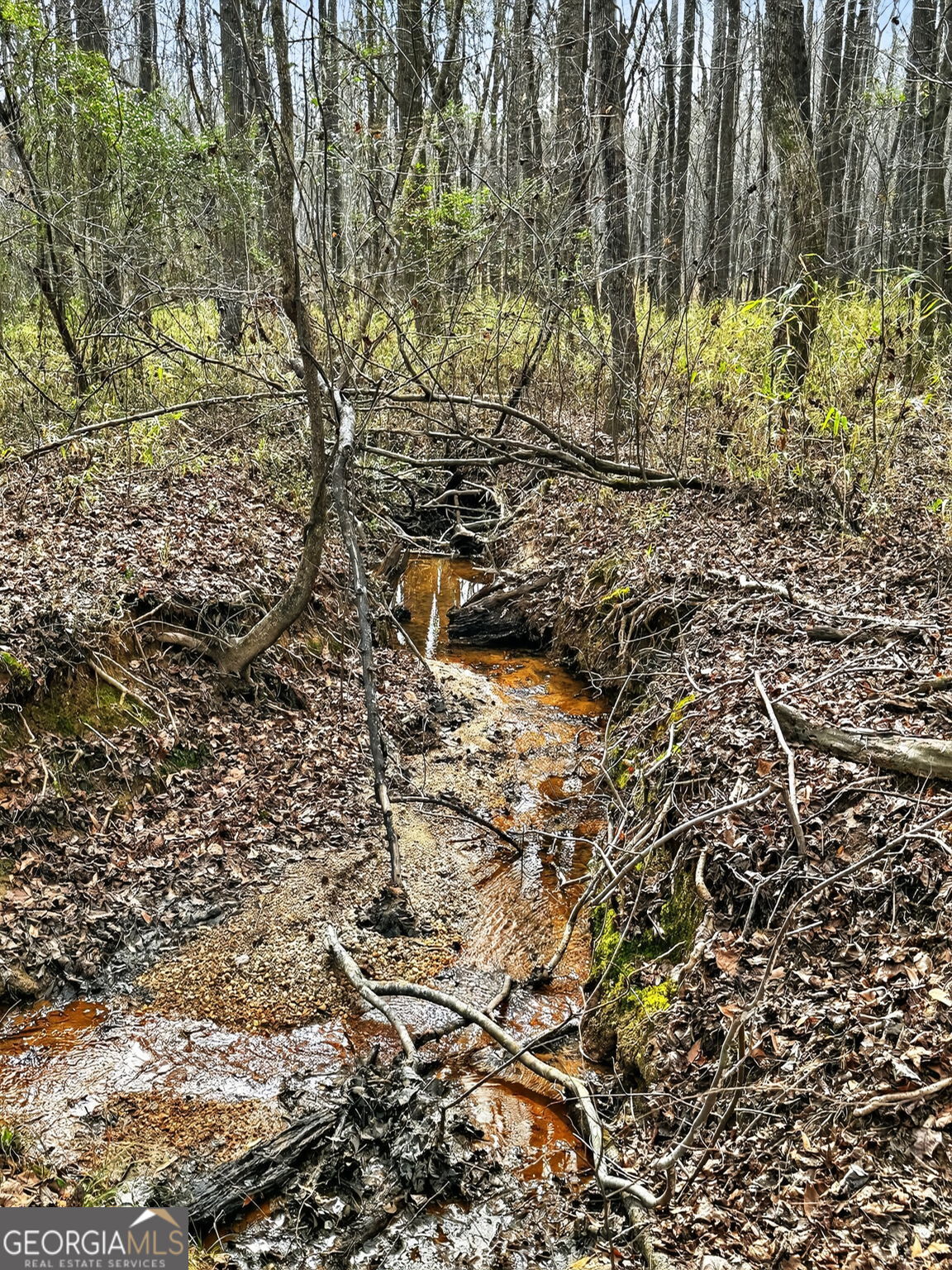 916 Highway 36 Barnesville, GA 30204 - Photo 52 of 62