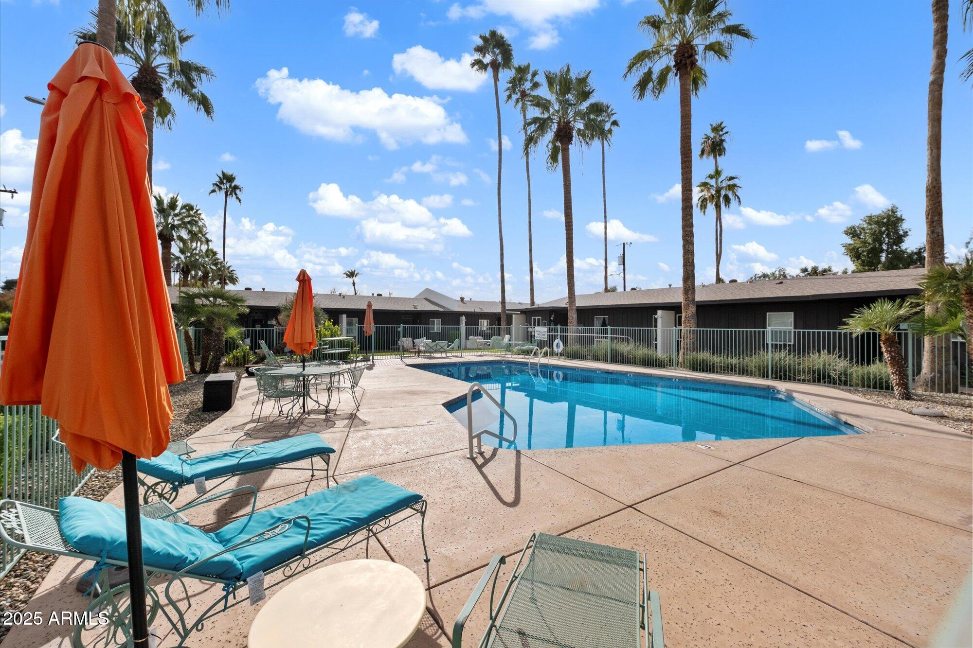 1450 East Bethany Home Road, Unit 8 Phoenix, AZ 85014 - Photo 24 of 29 a view of swimming pool with a lounge chairs