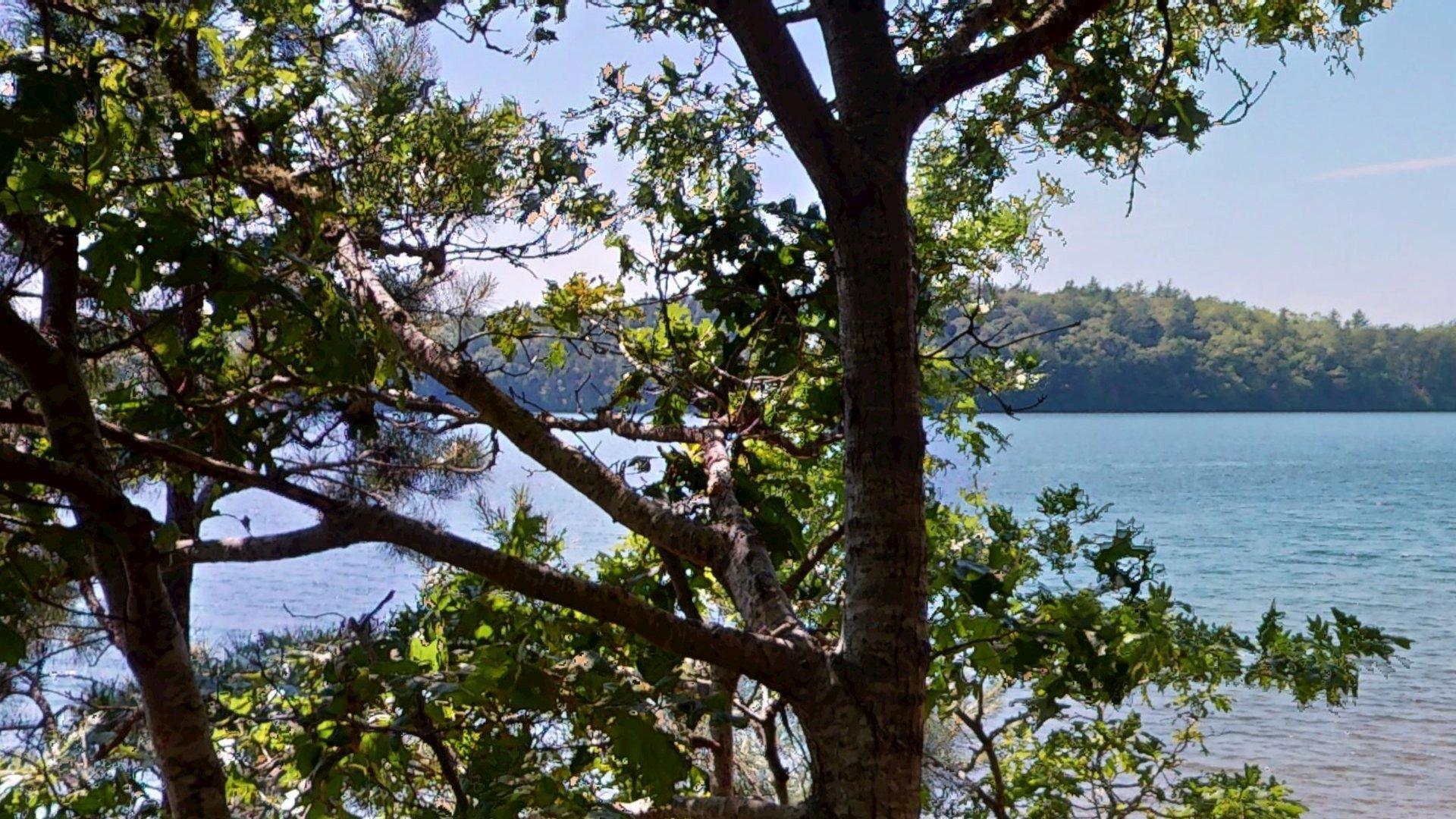 26 Newport Road Brewster, MA 02631 - Photo 23 of 61 an aerial view of mountain with outdoor space