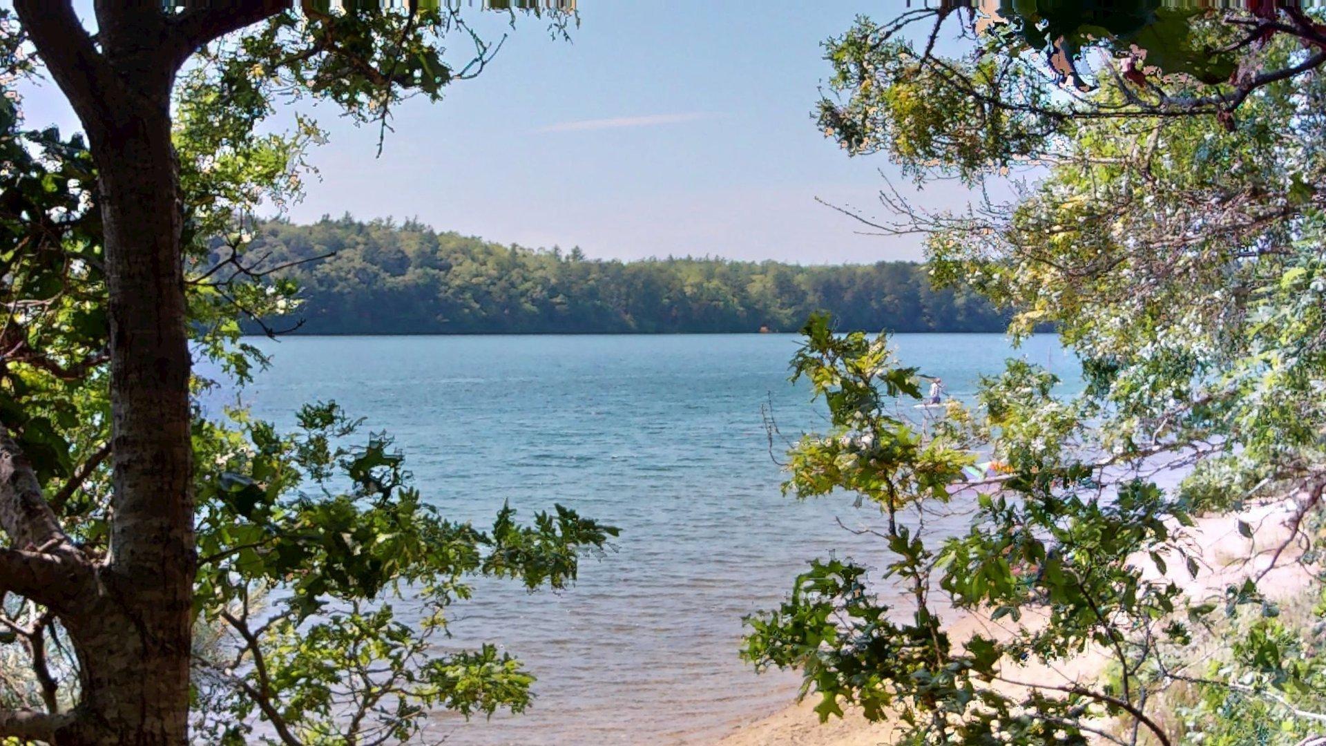 26 Newport Road Brewster, MA 02631 - Photo 25 of 61 a view of a lake with a tree