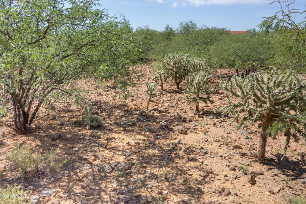 93 Avenida Pastor, Unit 102 Rio Rico, AZ 85648 - Photo 2 of 5
