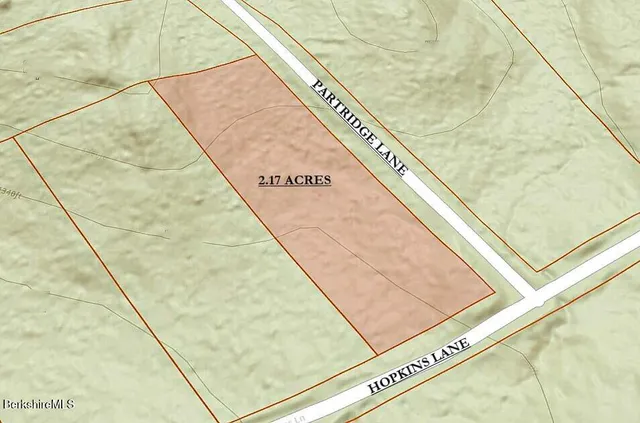 a view of a forest with trees