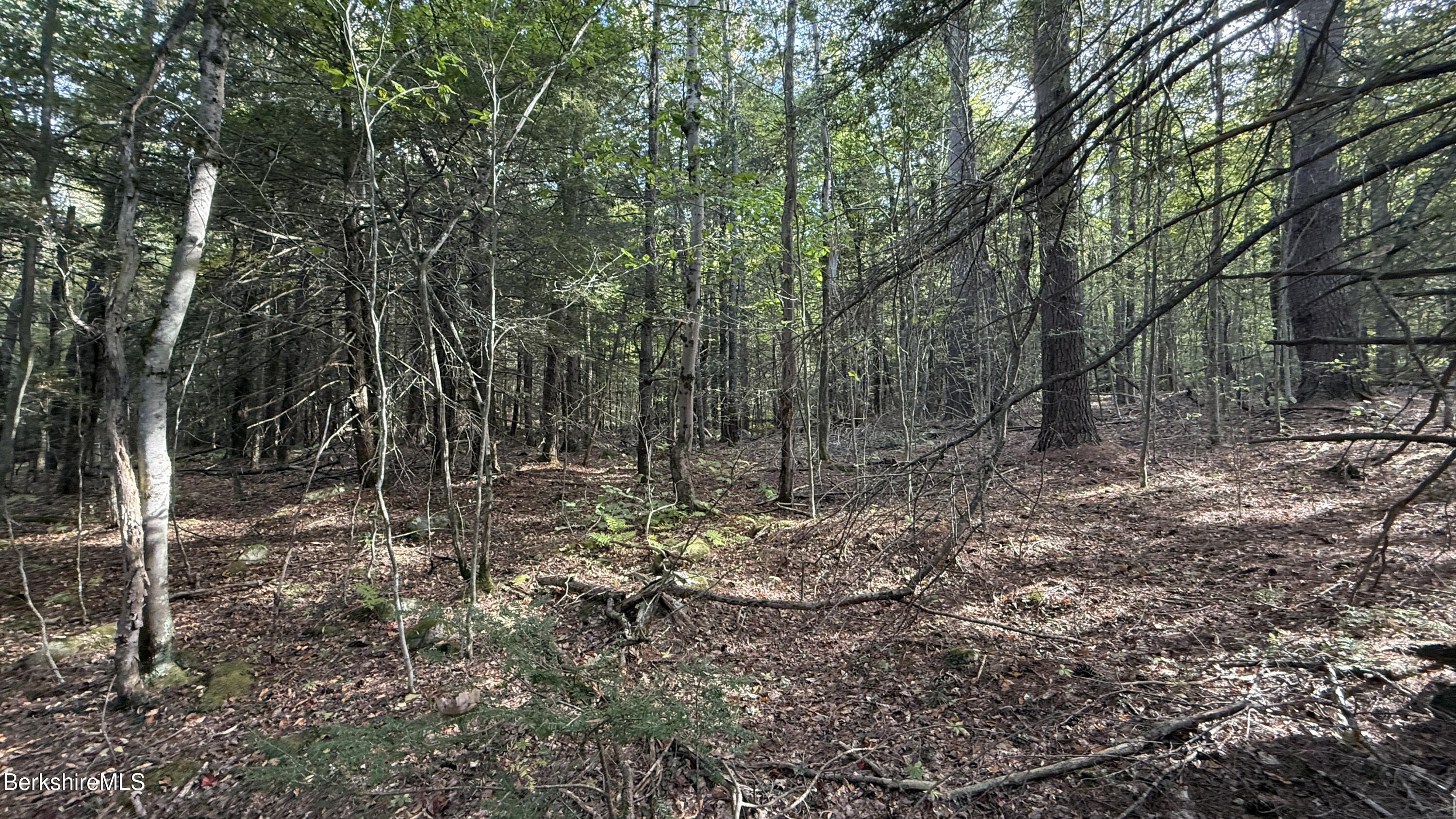 Lot 1 Hopkins Lane Becket, MA 01223 - Photo 3 of 5 IMG_1897