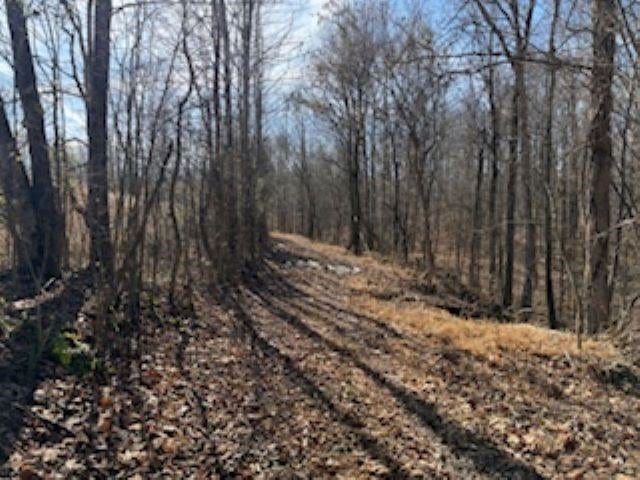 2791 Region Road Roundhill, KY 42275 - Photo 14 of 17 Gallery Image 14