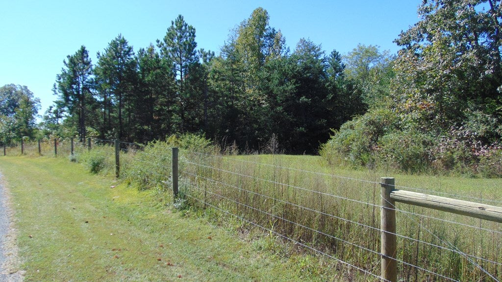 1016 Lacks Town Road Clover, VA 24534 - Photo 47 of 49 Gallery Image 47
