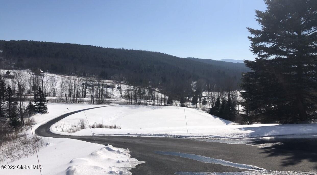 2 Pearson Road Rensselaerville, NY 12120 - Photo 3 of 46 View Photo
