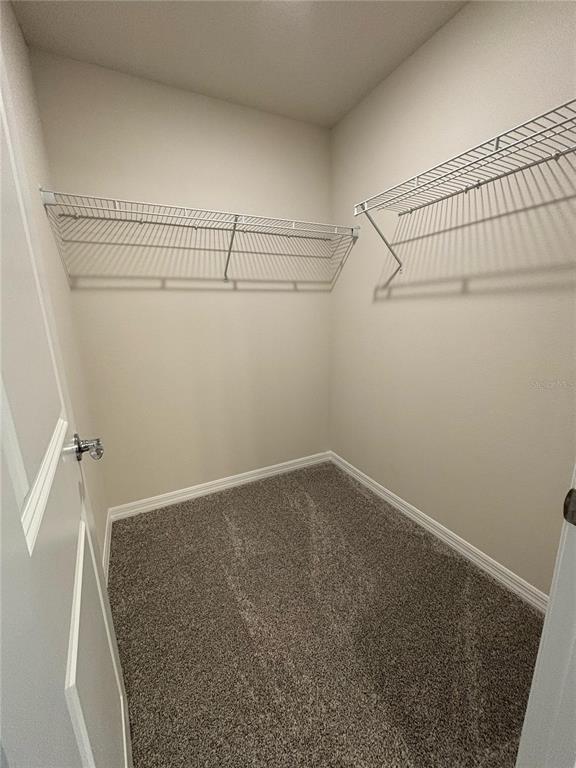 16274 Bright Leaf Road Winter Garden, FL 34787 - Photo 19 of 38 a view of a room with racks on the wall