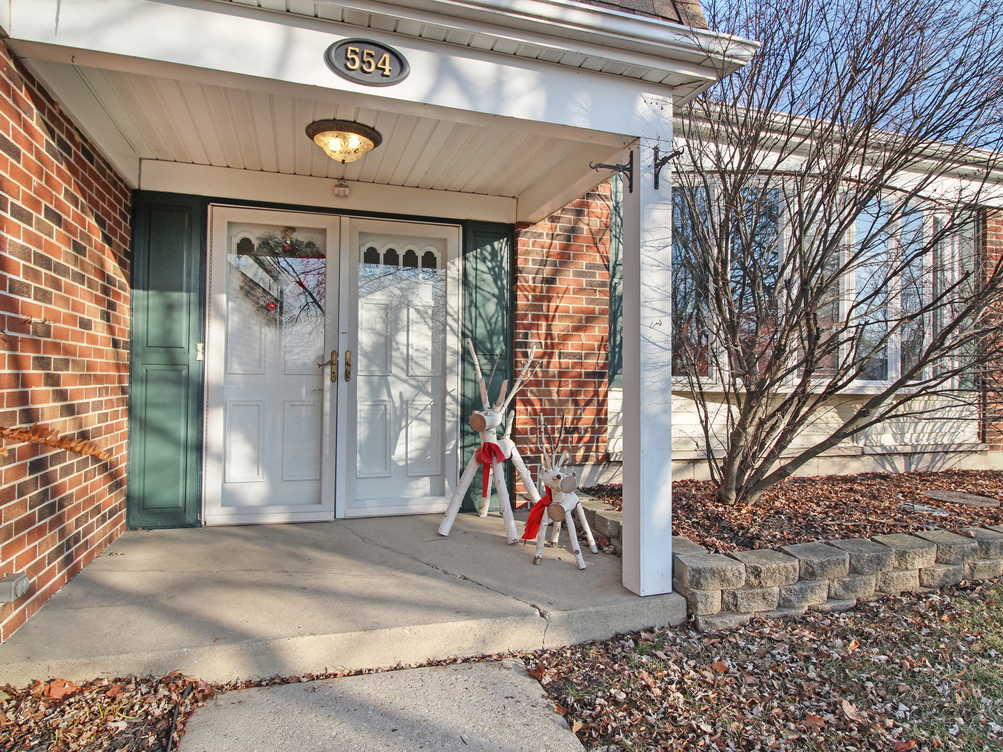 554 Rockhurst Road Bolingbrook, IL 60440 - Photo 2 of 29