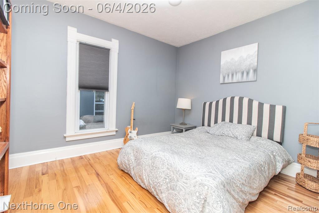 315 Jewett Street Howell, MI 48843 - Photo 19 of 24