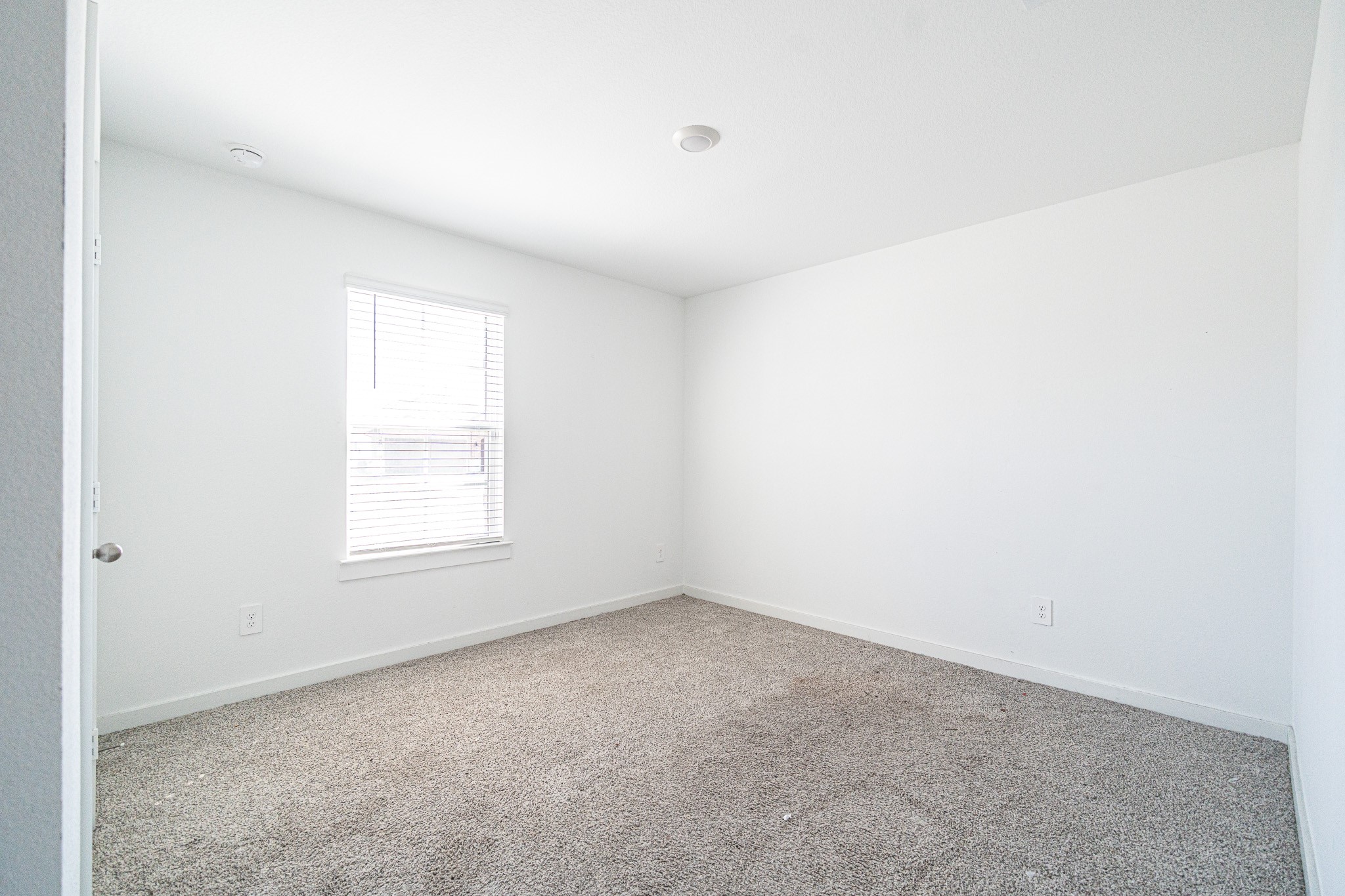 8730 Anacua Drive Rosharon, TX 77583 - Photo 11 of 22