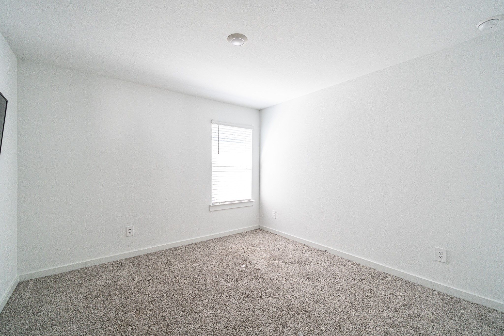 8730 Anacua Drive Rosharon, TX 77583 - Photo 13 of 22